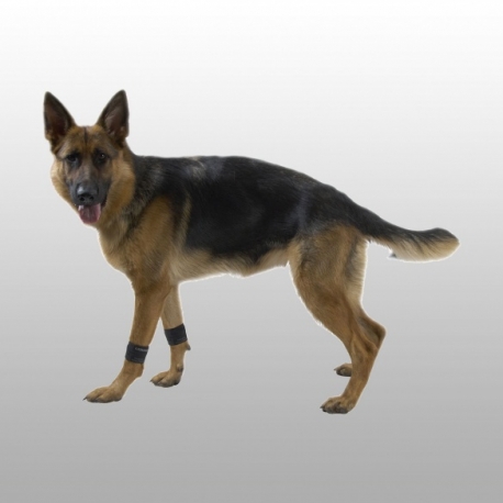 BRACELET REEDUCATION CHIEN BRACELET REEDUCATION CHIEN