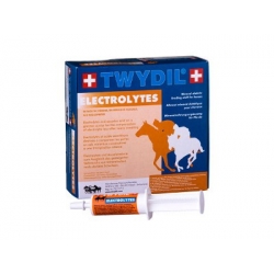 TWYDIL Electrolytes - (en seringues buccales)