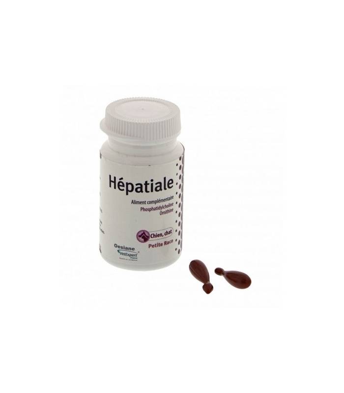 VETEXPERT Hepatiale S