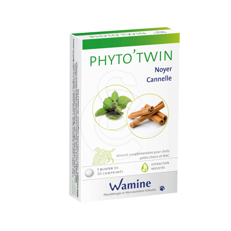 PHYTO'TWIN Noyer/Cannelle - Boîte de 30 comprimés