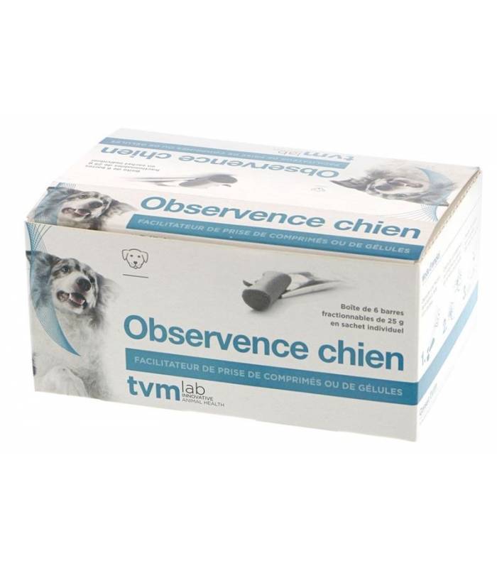 OBSERVENCE Chien