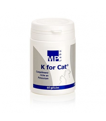 K for cat