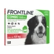 FRONTLINE COMBO SPOT-ON CHIEN XL - 4 pipettes