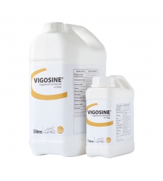 VIGOSINE 1l