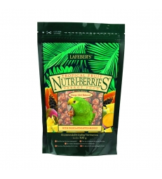 Tropical Fruit Nutri-Berries Parrots - 300g