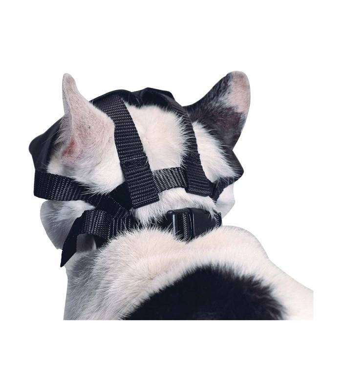 Museliere Nylon Pour Chat