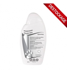 Shampooing Pelage Gris Dog Generation