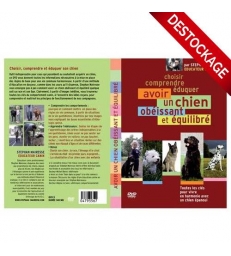 DVD Dressage Education