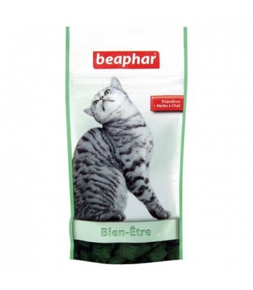 Friandises Beaphar Catnip bits