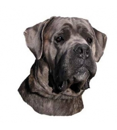 Autocollants Cane Corso