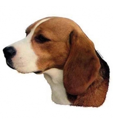 Autocollants Beagle