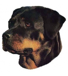 Autocollants Rottweiler