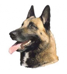 Autocollants Malinois