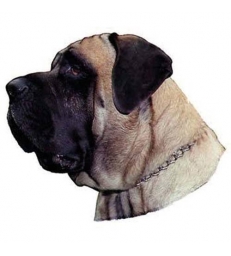 Autocollants Mastiff