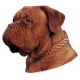 Autocollants Dogue de Bordeaux