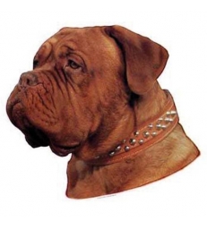 Autocollants Dogue de Bordeaux