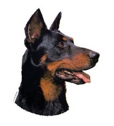 Autocollants Beauceron