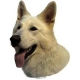 Autocollants Berger Blanc Suisse