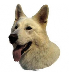 Autocollants Berger Blanc Suisse