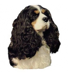 Autocollants Cavalier King Charles noir