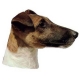 Autocollants Fox Terrier