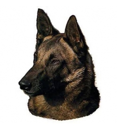 Autocollants Malinois