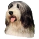 Autocollants Bearded Collie