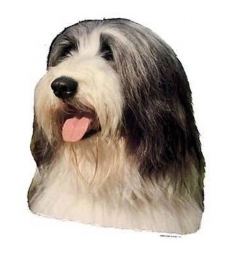 Autocollants Bearded Collie