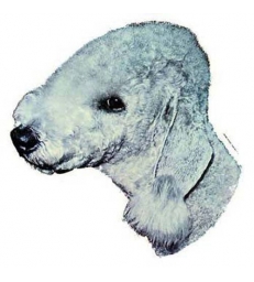 Autocollants Bedlington