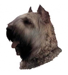 Autocollants Bouvier des Flandres gris