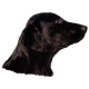 Autocollants Flat Coated Retriever