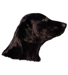 Autocollants Flat Coated Retriever