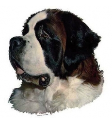 Autocollants Saint Bernard