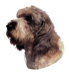 Autocollants Basset Griffon vendéen (grand)