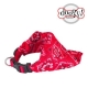 Collier bandana star rouge