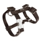 Harnais réglable Red Dingo Basic noir