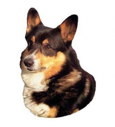 Autocollants Welsh Corgi Tricolore