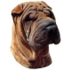 Autocollants Shar Pei