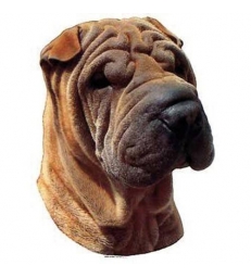 Autocollants Shar Pei