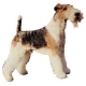 Autocollants Fox Terrier