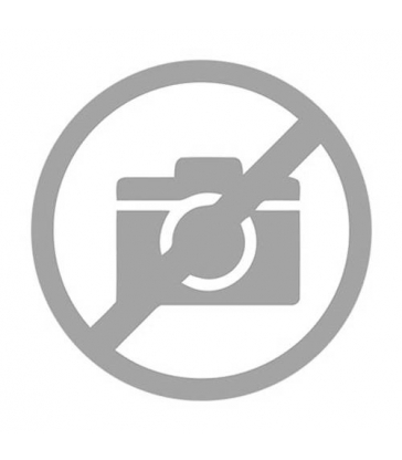 Batterie Pulse ZR