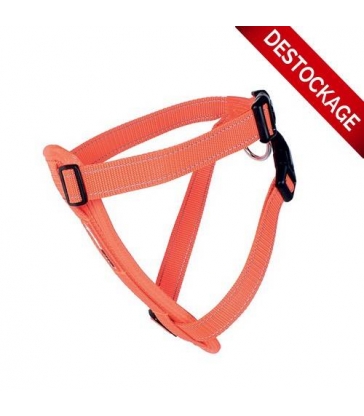 Harnais Ezydog Chest Plate orange