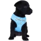 Harnais tee-shirt nylon fantaisie doogy bleu "Good Dog"