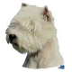 Autocollants West Highland White Terrier