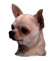 Autocollants Chihuahua poils courts