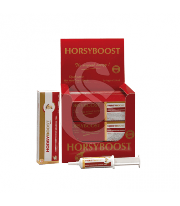 Horsyboost