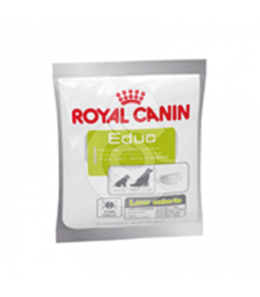 Vet Care Nutrition Dog Educ