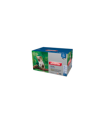 Advantix Grand Chien 25-40 kg