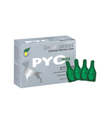 Dermoscent Pyospot Chien . 4 pipettes de 2,4 ml