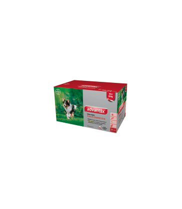 Advantix Chien Moyen 10-25 kg